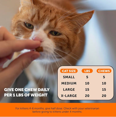 Relieve joint stiffness & keep your cat mobile, comfortable, and playful as they age.