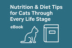 Nutrition & Diet Tips for Cats Through Every Life Stage eBook
