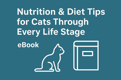 Nutrition & Diet Tips for Cats Through Every Life Stage eBook